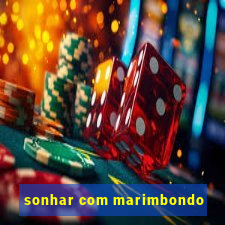 sonhar com marimbondo